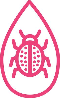 Ladybug Icon Design Illustration