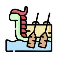 A dragon boat with two oars on it vector
