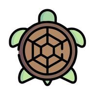 A turtle icon with the word turtle on it vector