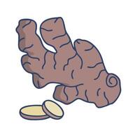 ginger root icon illustration design vector