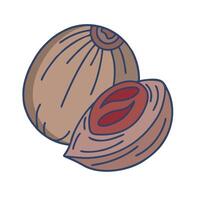 nut shell and nut inside illustration design vector