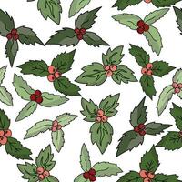 Seamless pattern of bunches of holly with leaves of various green shades, Christmas festive berries on a white background vector