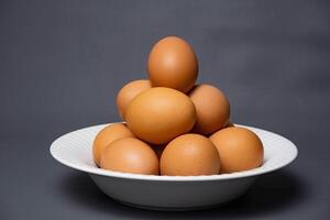 Chicken eggs in plate isolated on grey background with clipping path. Close up with selective focus photo