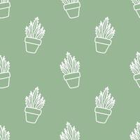 Seamless patterns of Cactus cartoon outline doodle on green background, . vector
