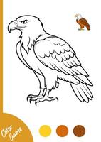 coloring page eagle with guide color vector