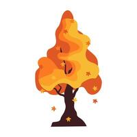 Beautiful autumn tree in cartoon style. Yellow, red different types of autumn tree and bushes with leaves vector