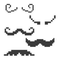 moustache bundle is stylish, bold, thick, neat, and structured vector