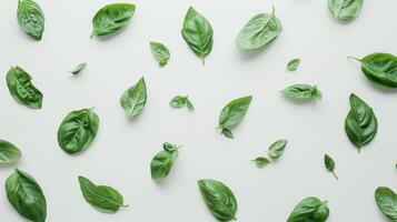 Fresh green basil leaves creating a pattern on a white background, a top view culinary herb design photo