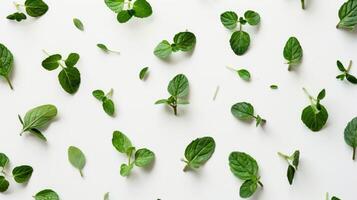 Fresh green mint leaves arranged in a beautiful pattern on a white background., photo