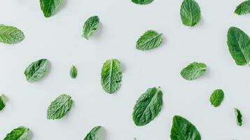 Minimal light blue background with a flat lay arrangement of fresh mint leaves photo