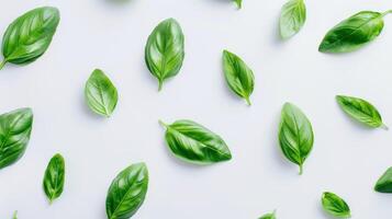 Vibrant pattern of fresh basil leaves on a white background photo