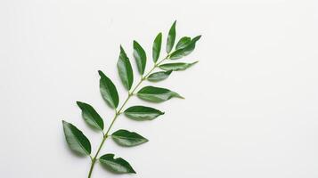 Lush green leafy branch resting on a clean white backdrop, bringing a natural touch photo