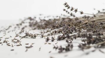 Dried lavender flowers creating a relaxing and aromatic atmosphere on a clean white background photo