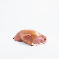Duck meat isolated on white background photo
