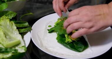 spring rolls Summer rolls with fresh vegetables and meat and peanut sauce. Vietnamese appetizer. Salad spring rolls with pork. Healthy food concept video