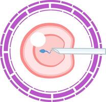 The embryo is in a circle with a needle vector