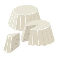 Molded Ricotta cheese in a flat style. A group of a whole, incised and triangular piece. Illustration of a dairy product, light cheese isolated on a white background. Pressed product for sale vector