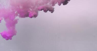 Underwater pink ink explosion. Dye mixing and blending abstract forms in white background in slow motion 4K video