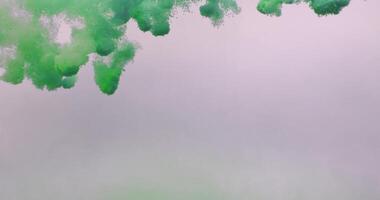 Underwater green colorful ink. Dye mixing and blending abstract forms in white background in slow motion 4K video