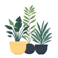 Three different types of plants in pots vector