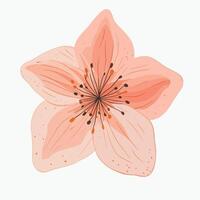 A pink flower with a white background vector