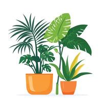 Three different types of house plants in pots vector
