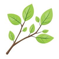 A branch with leaves on it vector