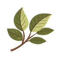 A branch with leaves on it, isolated on a white background vector