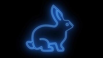 icon of a rabbit with a glowing neon effect video
