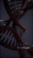 loop double helical structure of dna strand close-up animation video