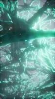 Journey through a neuron cell network inside the brain video