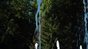 Water from a fountain flows against the backdrop of green trees video
