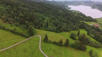 Cyclist riding down curvy road in Germany, Bavaria near Lake Grosser Alpsee in summer in rainy overcast weather aerial view. Overhead view of an asphalt road snaking in mountains and cyclist in Alps. video