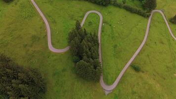 Cyclist riding down curvy road in Germany, Bavaria near Lake Grosser Alpsee in summer in rainy overcast weather aerial view. Overhead view of an asphalt road snaking in mountains and cyclist in Alps. video