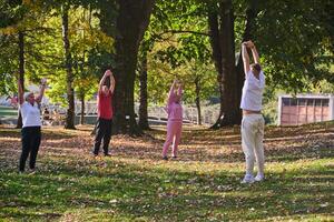 A group of seniors follows a trainer, engaging in outdoor exercises in the park, as they collectively strive to maintain vitality and well-being, embracing an active and health-conscious lifestyle in photo