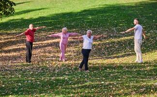 A group of seniors follows a trainer, engaging in outdoor exercises in the park, as they collectively strive to maintain vitality and well-being, embracing an active and health-conscious lifestyle in photo