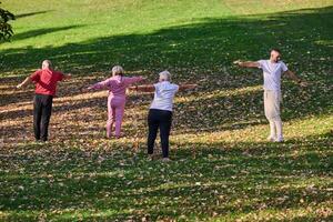 A group of seniors follows a trainer, engaging in outdoor exercises in the park, as they collectively strive to maintain vitality and well-being, embracing an active and health-conscious lifestyle in photo