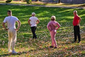 A group of seniors follows a trainer, engaging in outdoor exercises in the park, as they collectively strive to maintain vitality and well-being, embracing an active and health-conscious lifestyle in photo