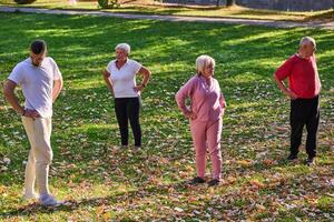 A group of seniors follows a trainer, engaging in outdoor exercises in the park, as they collectively strive to maintain vitality and well-being, embracing an active and health-conscious lifestyle in photo