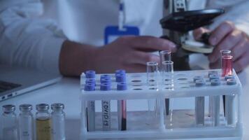 Scientist at workspace in laboratory with microscope, computer, and laboratory tools. Bio technology. Med students stuff. Medical assistant. Scientific research. Checking results on laptop in lab. video