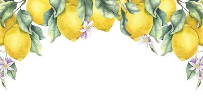 Frame of Lemon Branches with fruits, flowers and leaves. Isolated hand drawn watercolor wreath. Summer citrus Template for menu, package, cosmetic, textile, cards vector