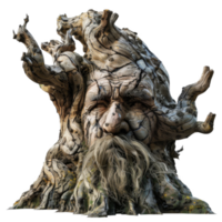 A man's head with a beard and long hair png