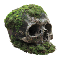 A skull covered in moss on a black background png