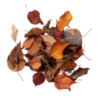 A Cluster of Dried Leaves in Various Shades of Brown and Orange png