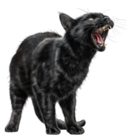 A black cat with its mouth open and teeth showing, standing on a black background. png