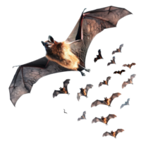 A large bat flying with a swarm of smaller bats png