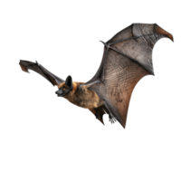 A brown bat in mid-flight with its wings extended png