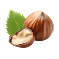 High-quality image of whole and halved hazelnuts with green leaf png