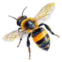 Bee pollinating flower in a vibrant garden setting, cut out - stock . png
