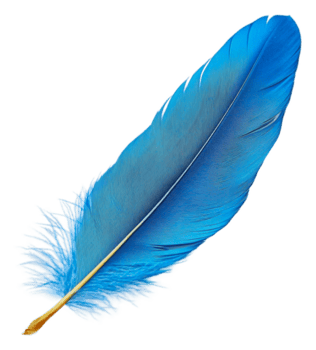 brillante azul pluma descansando en un blanco fondo, cortar fuera - valores . png